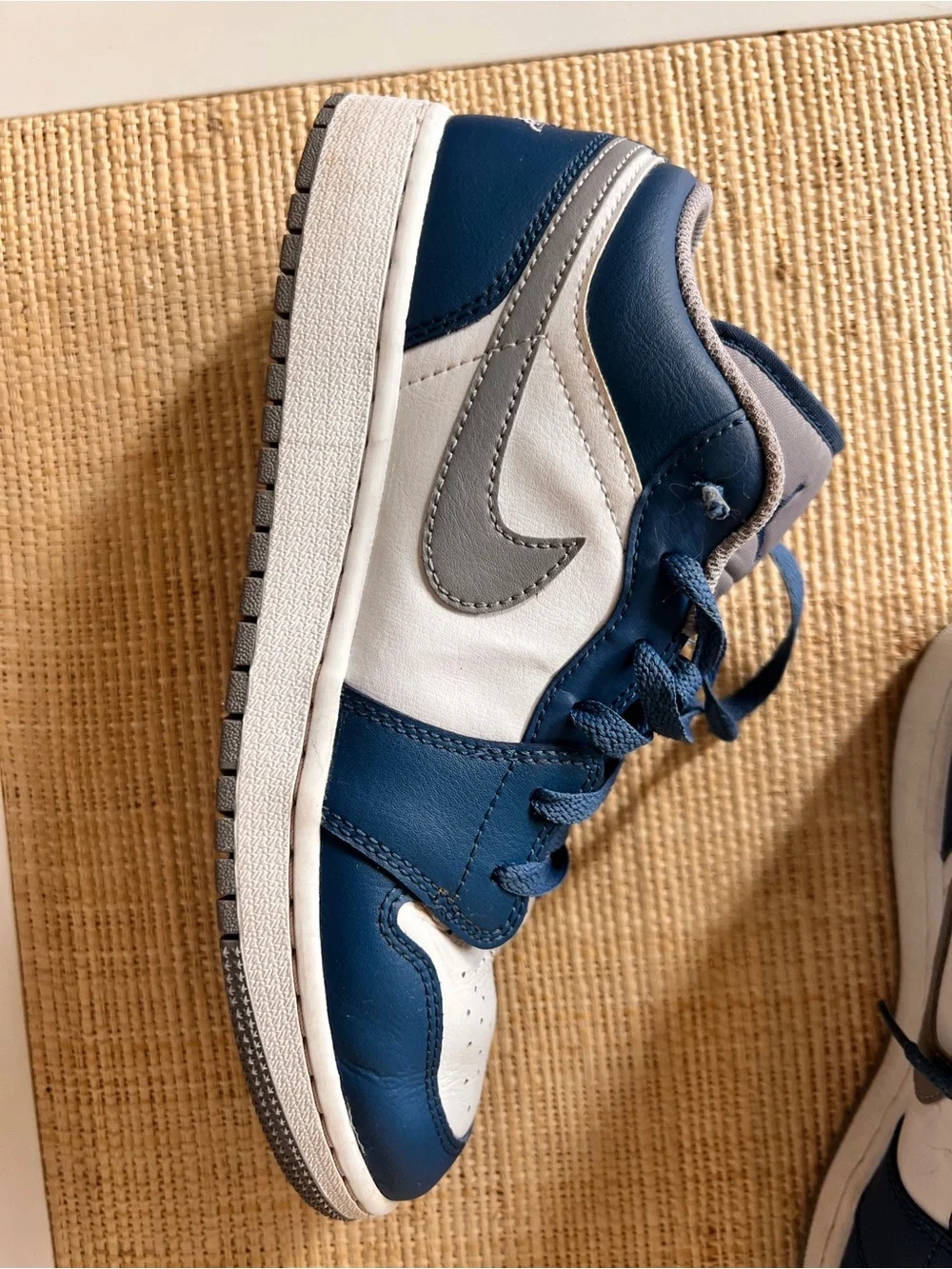 Low Top Sneakers in Navy/White